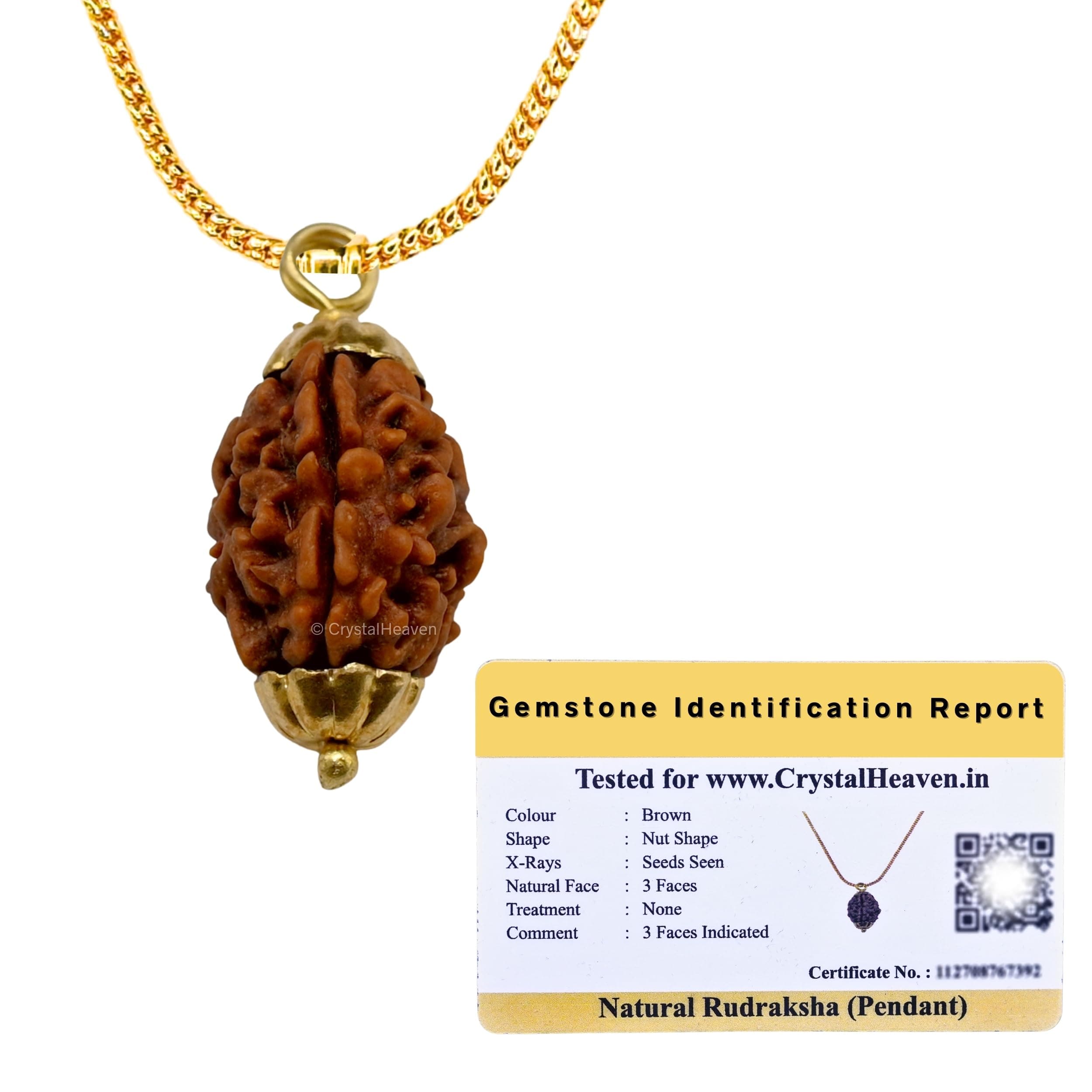 Crystal Heaven Rudraksha Original 3 Mukhi Pendant Necklace for Women Men | Certified Rudraksha with Velvet Pouch (Gold)