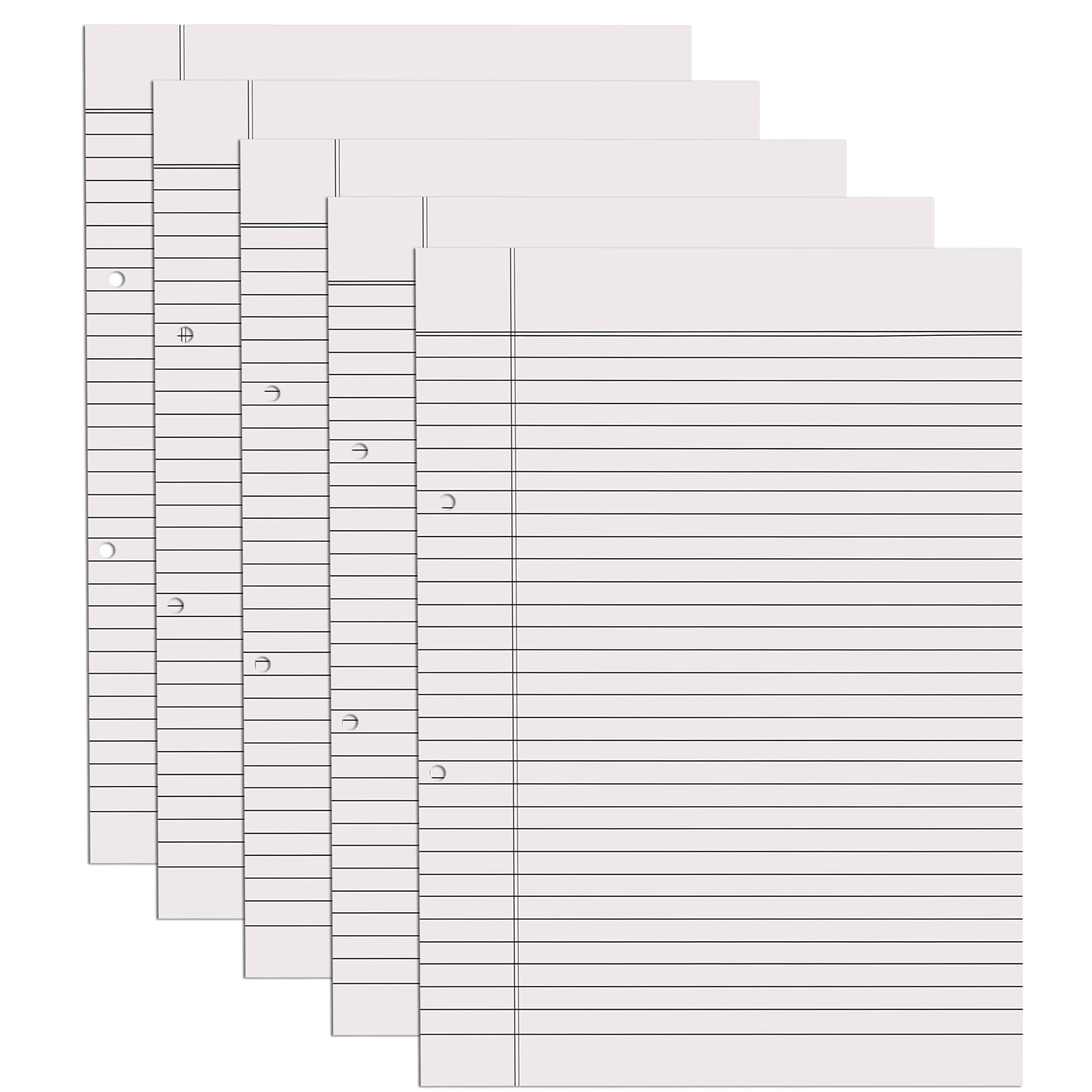 Paraspapermart A4 Size Both Side Ruled Sheet for Project/Assignment/Practical/Homework (Pack of 300 Sheets)