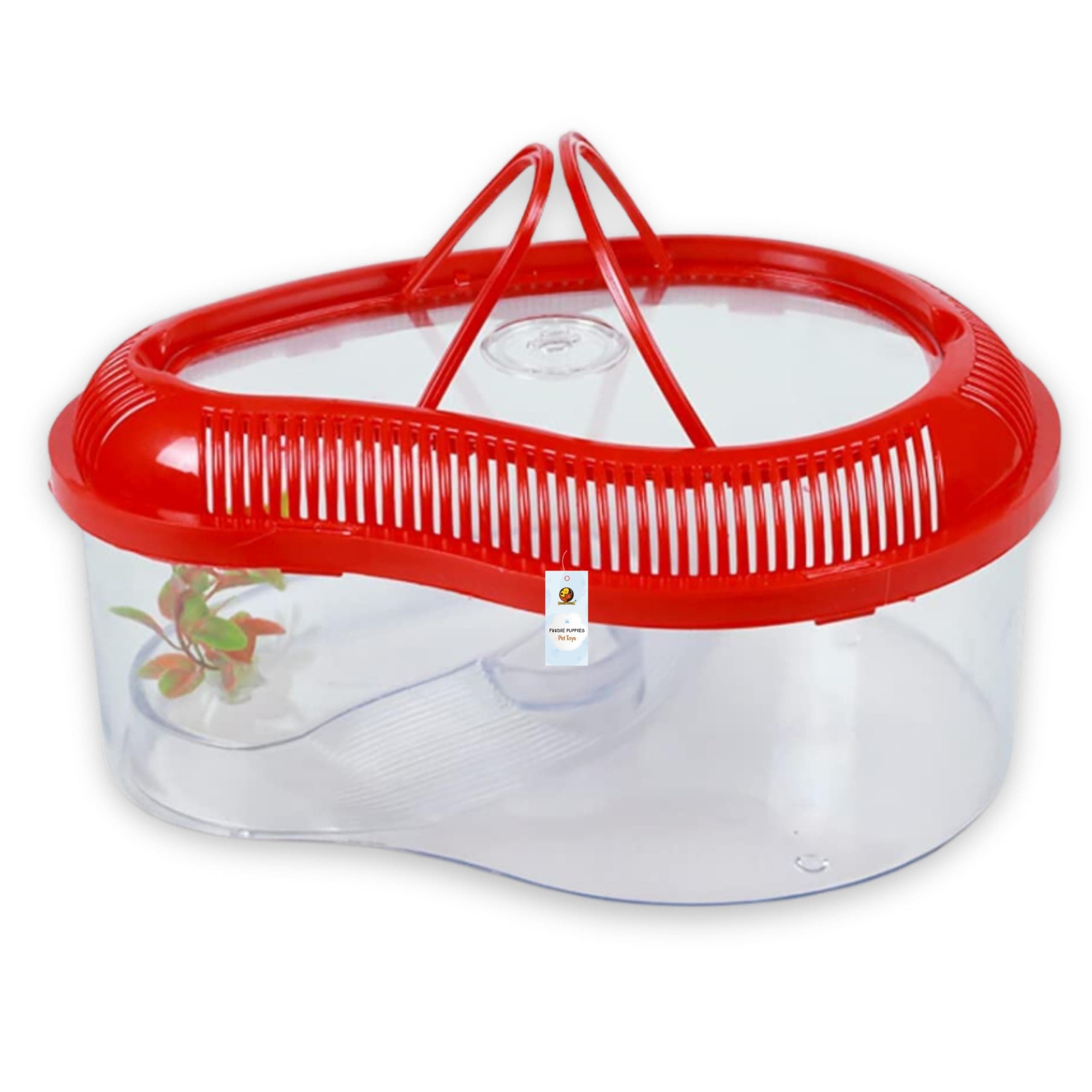 Foodie Puppies Transparent Turtle Tank Aquarium - (Mini - 0.9 FT/11 in Length) with Lid, Ramp | Basking Platform for Turtle Habitat, Reptile Breeding, Safe & Durable with Escape Prevention