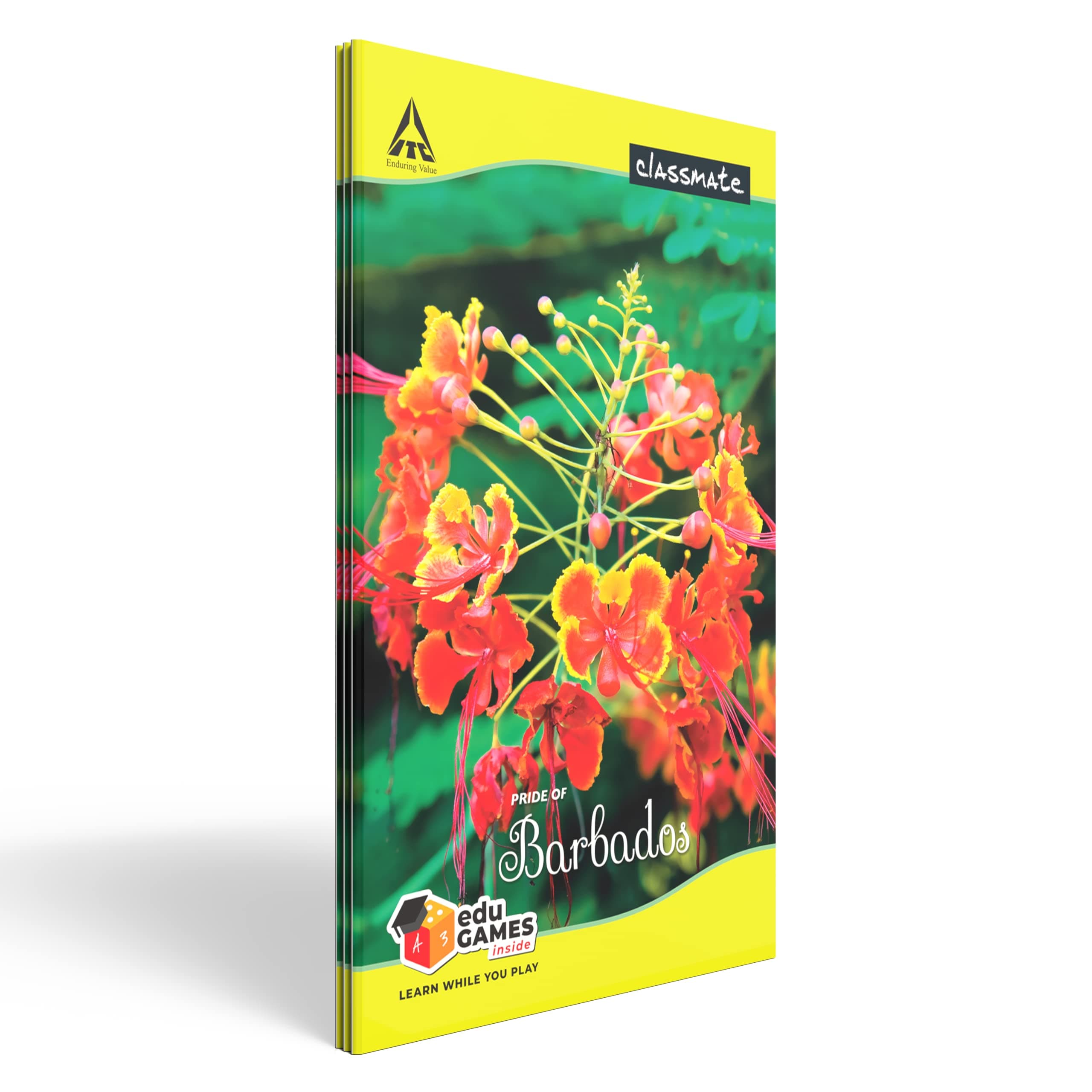 Classmate Long Book - Unruled, 160 Pages, 314 mm x 194 mm - Pack Of 3