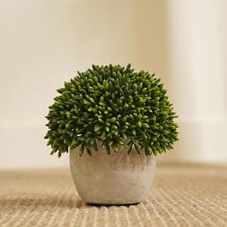 Pure Home and Living Green Faux Round Grass with Cement Pot