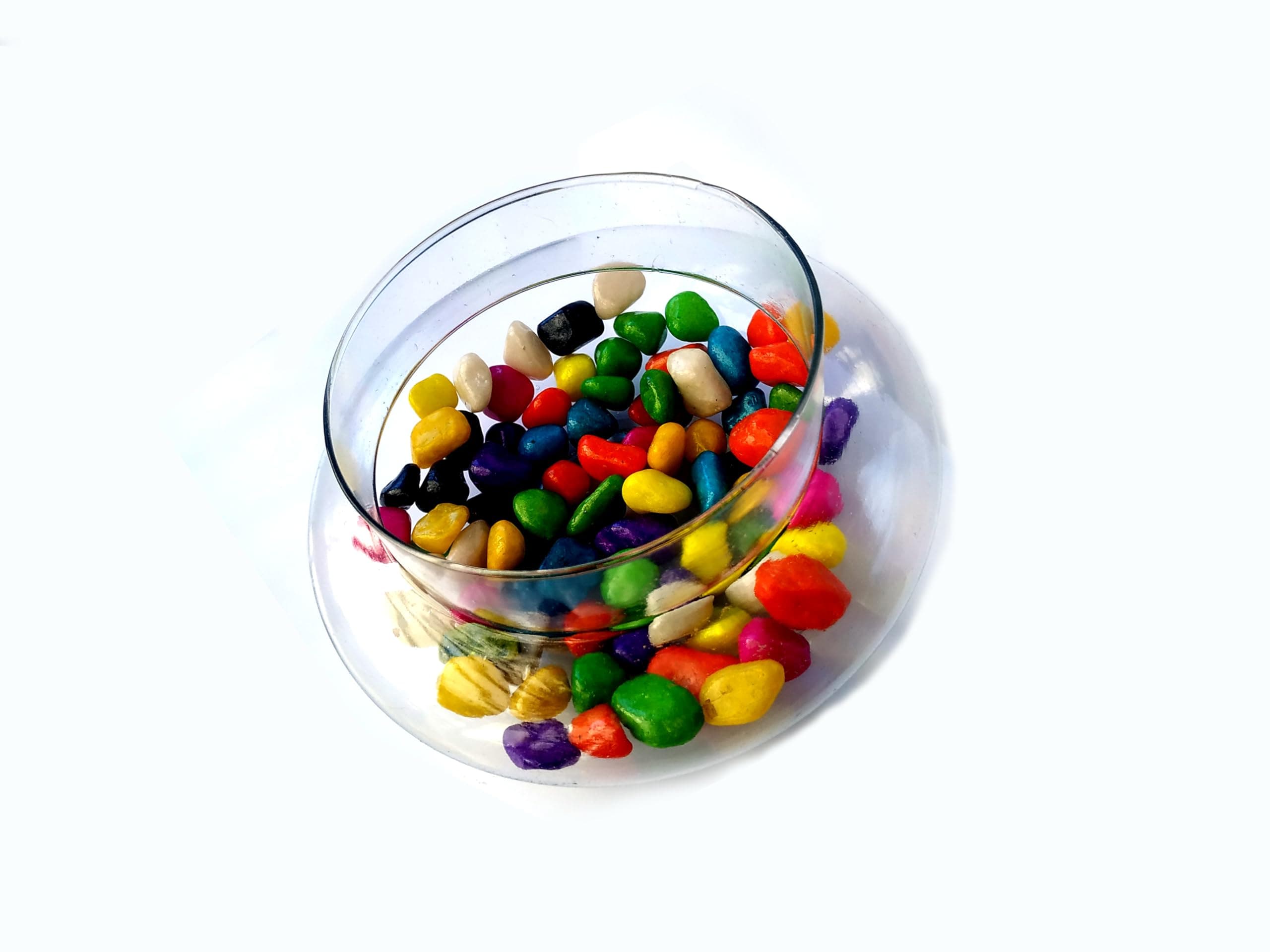 Glass Pot for 2 & 3 Layer Lucky Bamboo, Money Plant | with Decorative Multi-Colour Stones | Transparent Bowl - 6 Inch, Pack of 1 | Ideal for Indoor Water Plants, Home & Office Decor