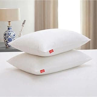 Zinnia Comfort Soft Microfiber Bed Pillows for Sleeping | White, Regular Size 16 x 24 Inches | Soft & Comfortable Set of Pillow for Home & Daily Use | Pack of 2