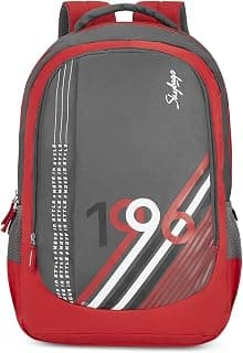 Skybags Unisex BEATLE NXT 02 22L LAPTOP BACKPACK (E) RED With Rain cover