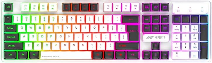 Ant Esports MK1700 RGB Wired Gaming Keyboard, Full Size 104 Keys with LED Backlit, Silent Membrane, 12 Multimedia Keys, USB Plug & Play for PC & Laptop (Mercury)