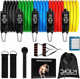 DADLM® Resistance Bands Set for Exercise, Stretching and Workout Toning Tube Kit with Foam Handles, Door Anchor, Ankle Strap and Carrying Bag Set of 11 in 1 for Men,Women