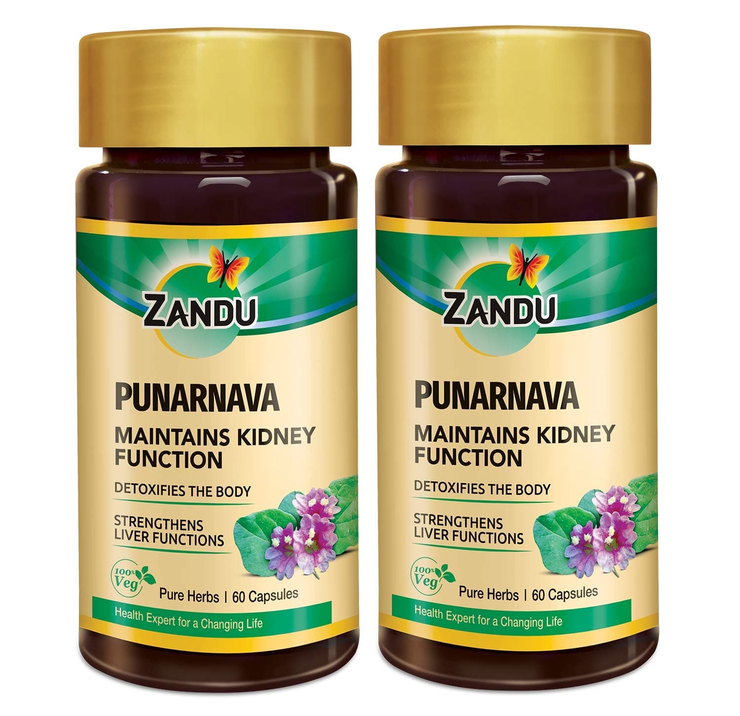 Zandu Punarnava Capsules, With Goodness of Natural Punarnava Extract known for Good Gut Health & for Healthy Appetite, Helps for Heart and Urinary Health - (Pack of 60 Veg capsules x 2)