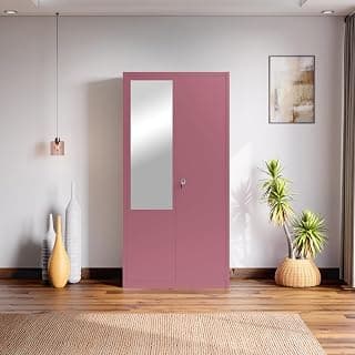 Interio by Godrej Luminex NX 2-Door Steel Almirah with Mirror (Textured Dusty Rose), 1-Year Warranty, 1 Locker, 5 Shelves