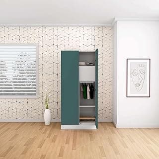 Interio by Godrej Slimline 2 Door Steel Wardrobe
