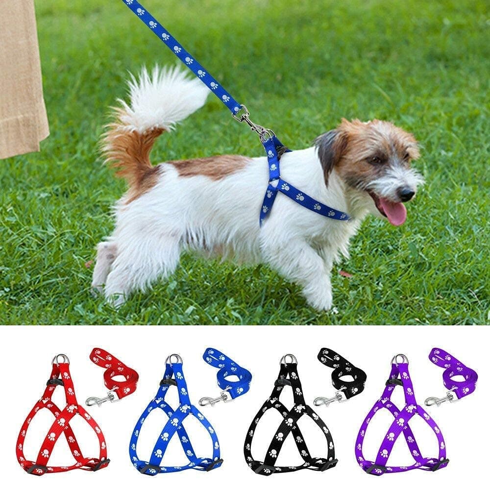 PSK PET MART Pet Combo Nylon Adjustable Paw Print Harness Leash Set for Small Dog and Puppies (Color as Per Availability) - Pack of 1