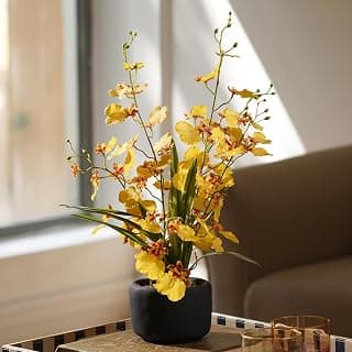 PURE HOME + LIVING Orange Artificial Orchid in Cement Pot, Faux Flower Arrangement for Table Decoration, Artificial Plant for Home and Office Décor (Pack of 1)