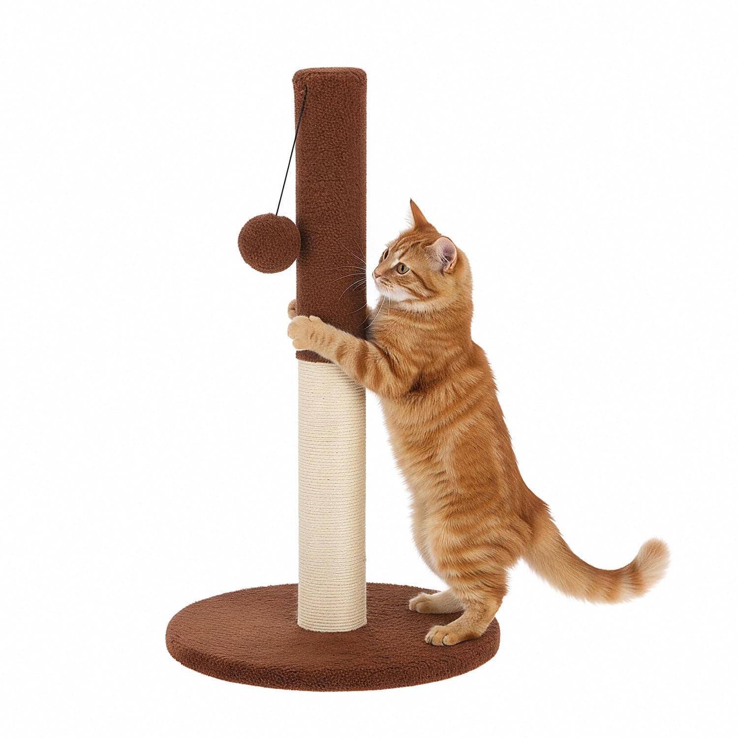 Amazon Basics Cat Scratching Post with Hanging Ball, Natural Jute, Sturdy Wooden Base, Coffee Brown Theme, 64cm (S)