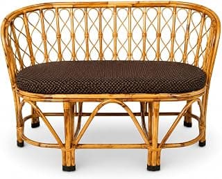 Cane Two Seater Sofa with Cushion | Handcrafted Natural Cane & Bamboo Sofa for Living Room, Balcony, Patio, Garden, Café | Indoor Outdoor Furniture | Honey Finish | 42 x 19 x 28 Inch