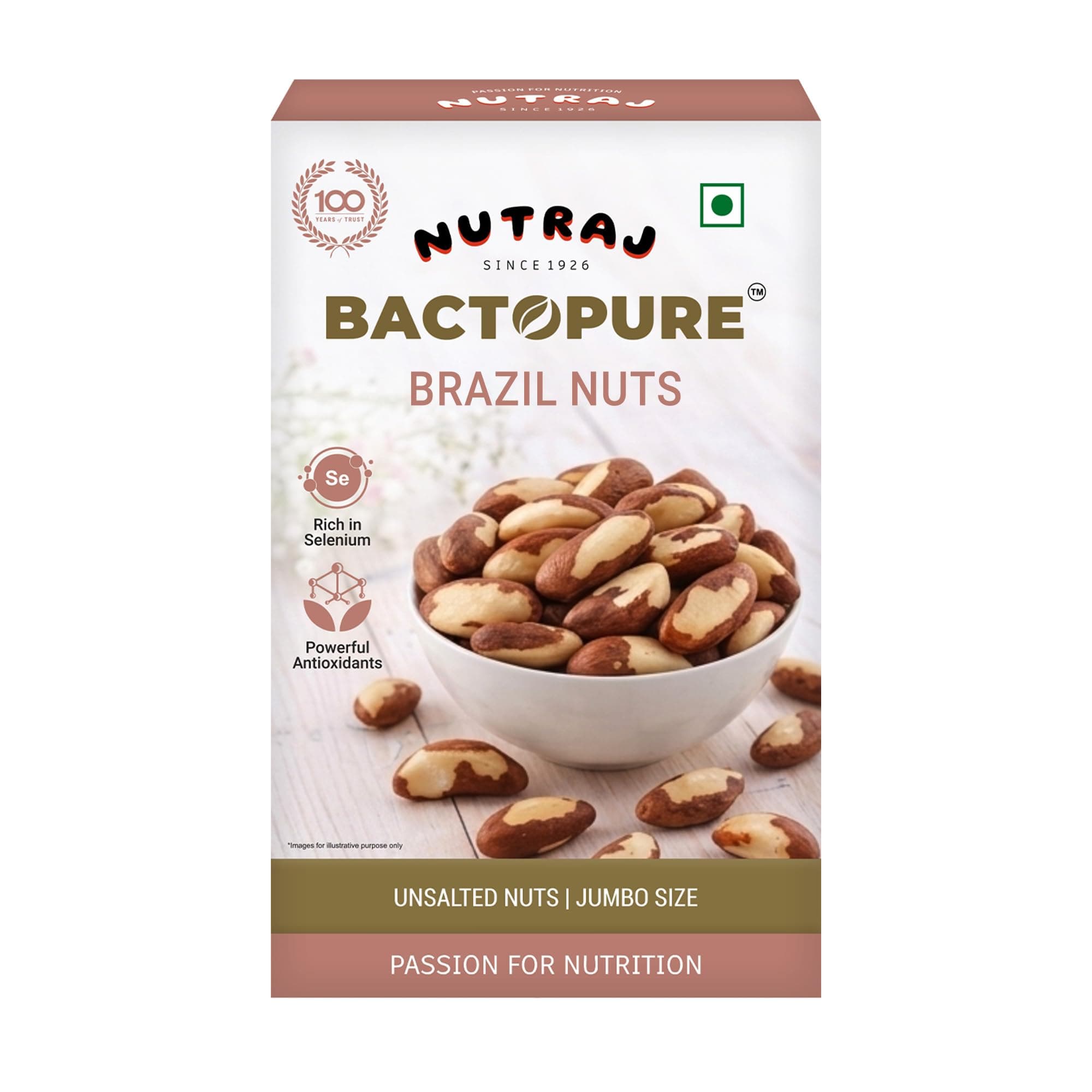 Nutraj Brazil Nuts Raw 100g Pouch | No Added Preservatives | Handpicked & Exotic | Raw & Unsalted Natural Whole