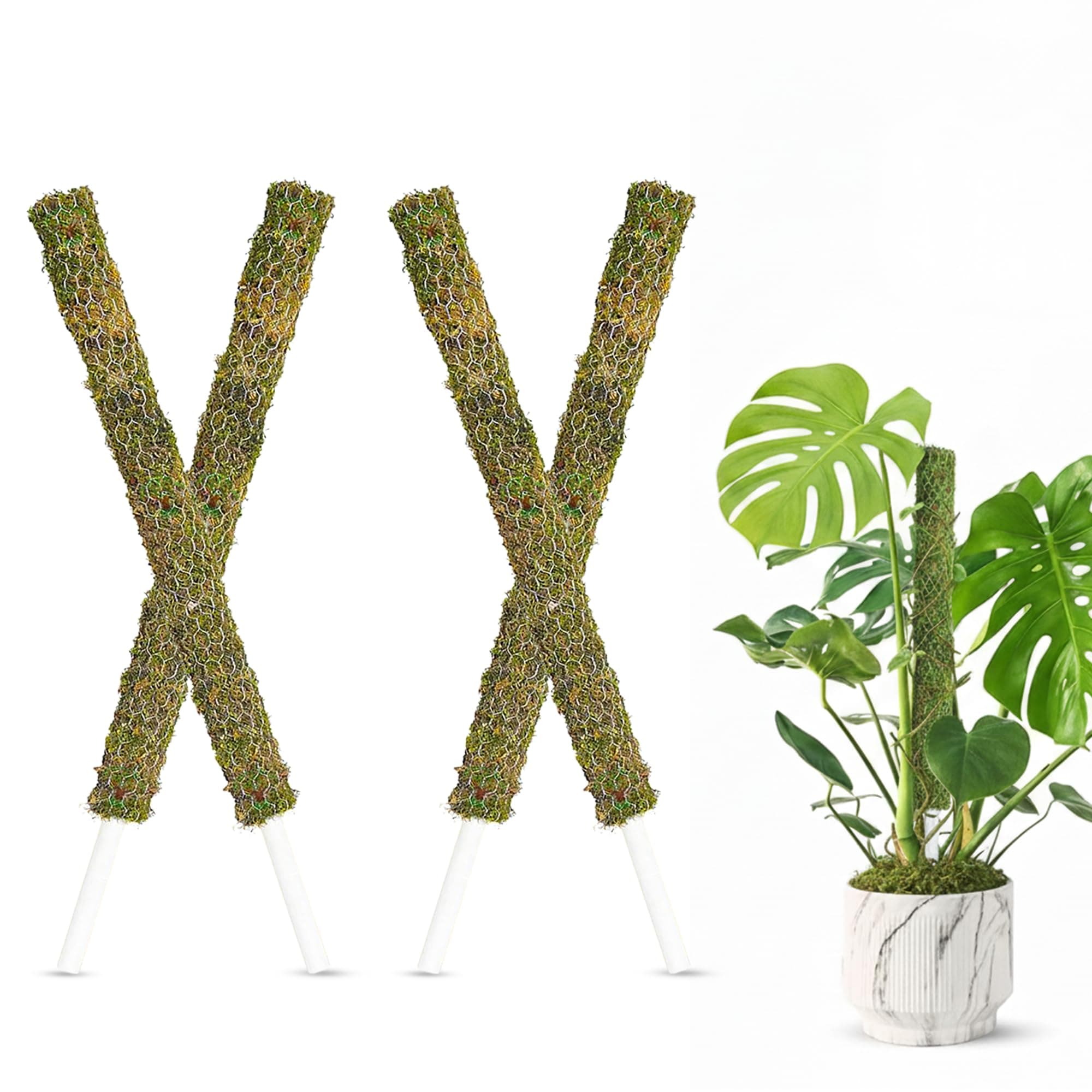 Dr. Arya Moss Stick | Mesh Moss Stick for Monstera, Syngonium & Indoor Climbing Plants | House Plant Creepers Support | Size 1.5FT Each - (Set of 4)