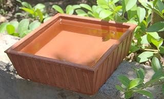 Tansa Art Earthen Pot Terracotta Bird Bath, Earth Brown (9X9-Inch)
