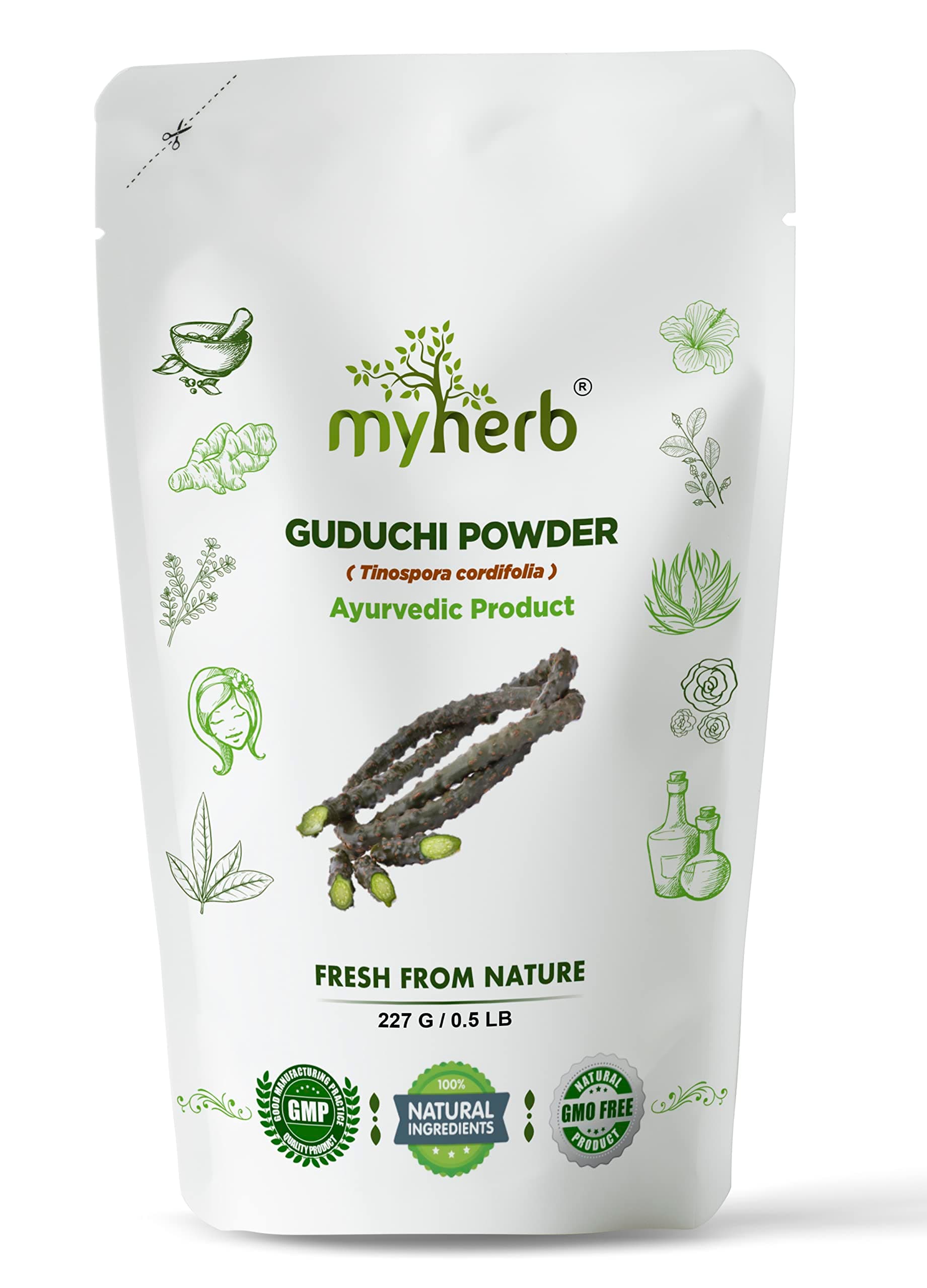 MYHERB 100% Natural Organic Guduchi Powder/Giloy Powder (Tinospora cordifolia) || 227 Gm/0.5 Lbs || Ayurvedic Powder || Help To Increase Immunity For Men & Women
