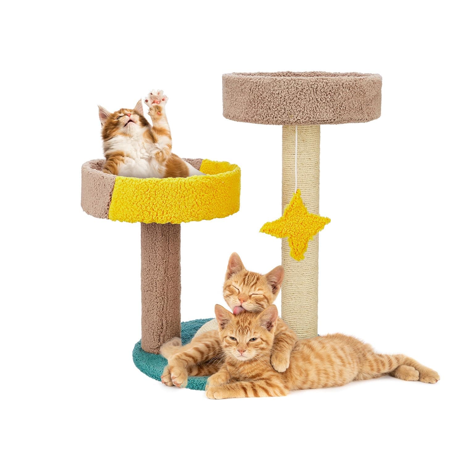 Amazon Basics Multi-Color Hanging Starfish Cat Tree with Platform & Scratching Posts | Innovative Design for Playful Cats and Kittens | Durable Carpeted Construction | 39.5 X 39.5 X 65 cm