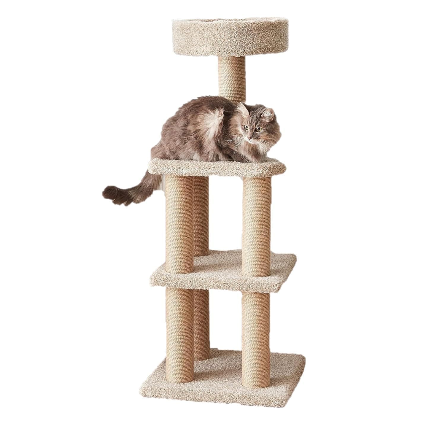 AmazonBasics Cat Activity Tree with Scratching Posts, Large (Beige)