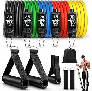 ALYV Natural Rubber Premium Resistance Bands Set 5 Stackable Tubes (Up to 100 lbs) | Full Body Workout Kit with Handles, Door Anchor, Ankle Straps & Carry Bag | Home, Travel & Gym Use