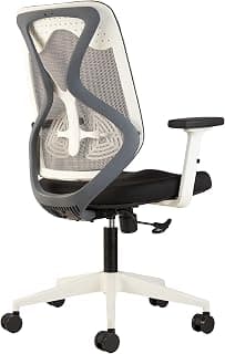 CELLBELL Capree C190 Ergonomic Mesh Home & Office Chair Imported Pneumatic Hydraulic | 2D Adjustable Arm Rest (Mid-Back)