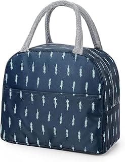 FLYNGO Large Insulated Lunch Bag for Office, School, Men, Women, Tiffin Pouch Bag, Hot & Cold Lunch Box Bags for Boys, and Girls