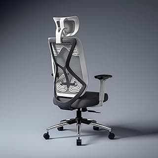 Green Soul Zodiac Pro | Nylon Pvc | Office Chair With Seat Slider |Flybird Ergonomic Design|4D Adjustable Armrest|Multi Synchro Tilt Mechanism|Adjustable Lumbar Support |3 Years Warranty(White & Grey)