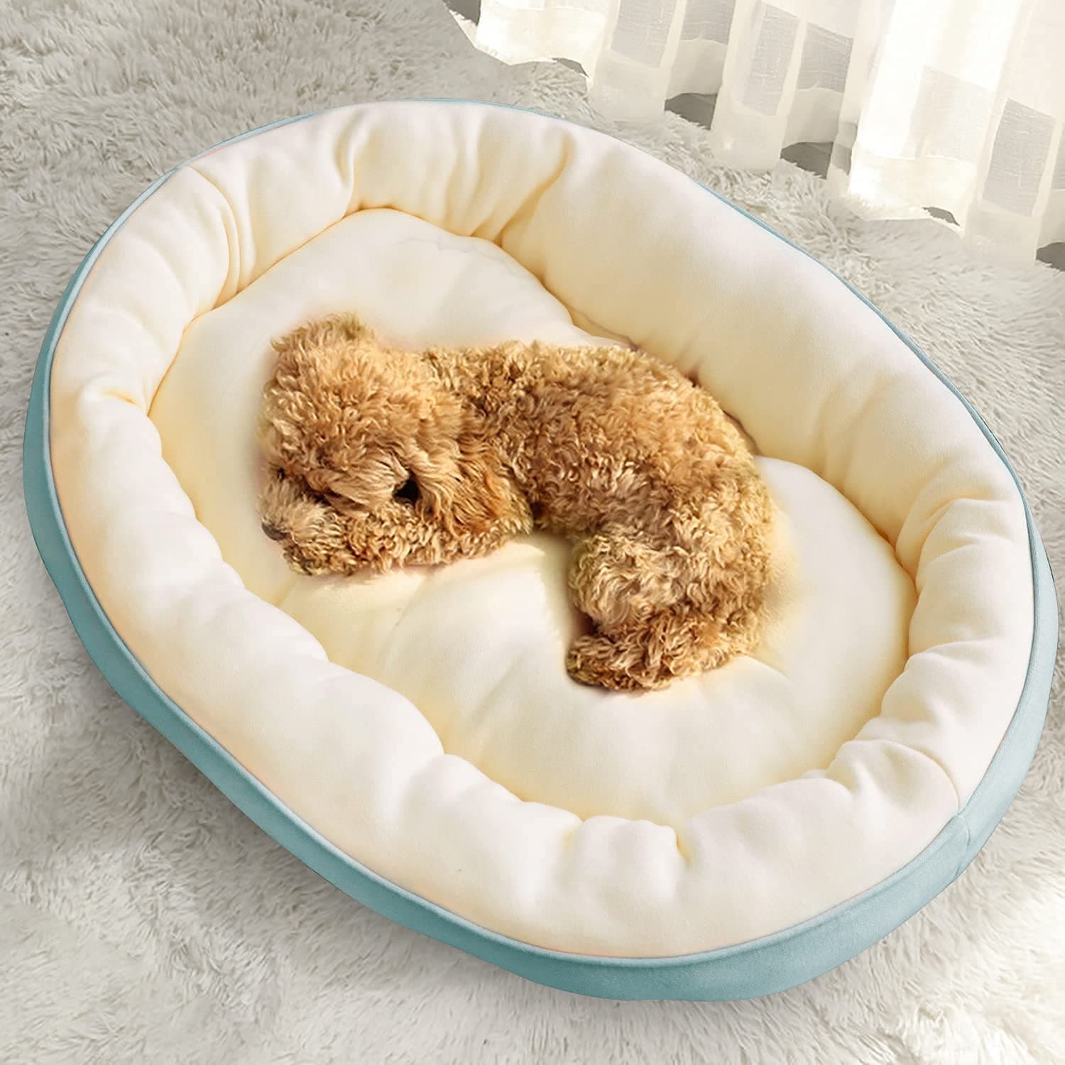 Fluffy's Cotton Dog Bed for Dogs & Cats, Durable Warm Dog Bed, Washable Sleeping Puppy Bed, Soft Calming Cat Beds for Indoor,Outdoor (Sky Blue, Medium)