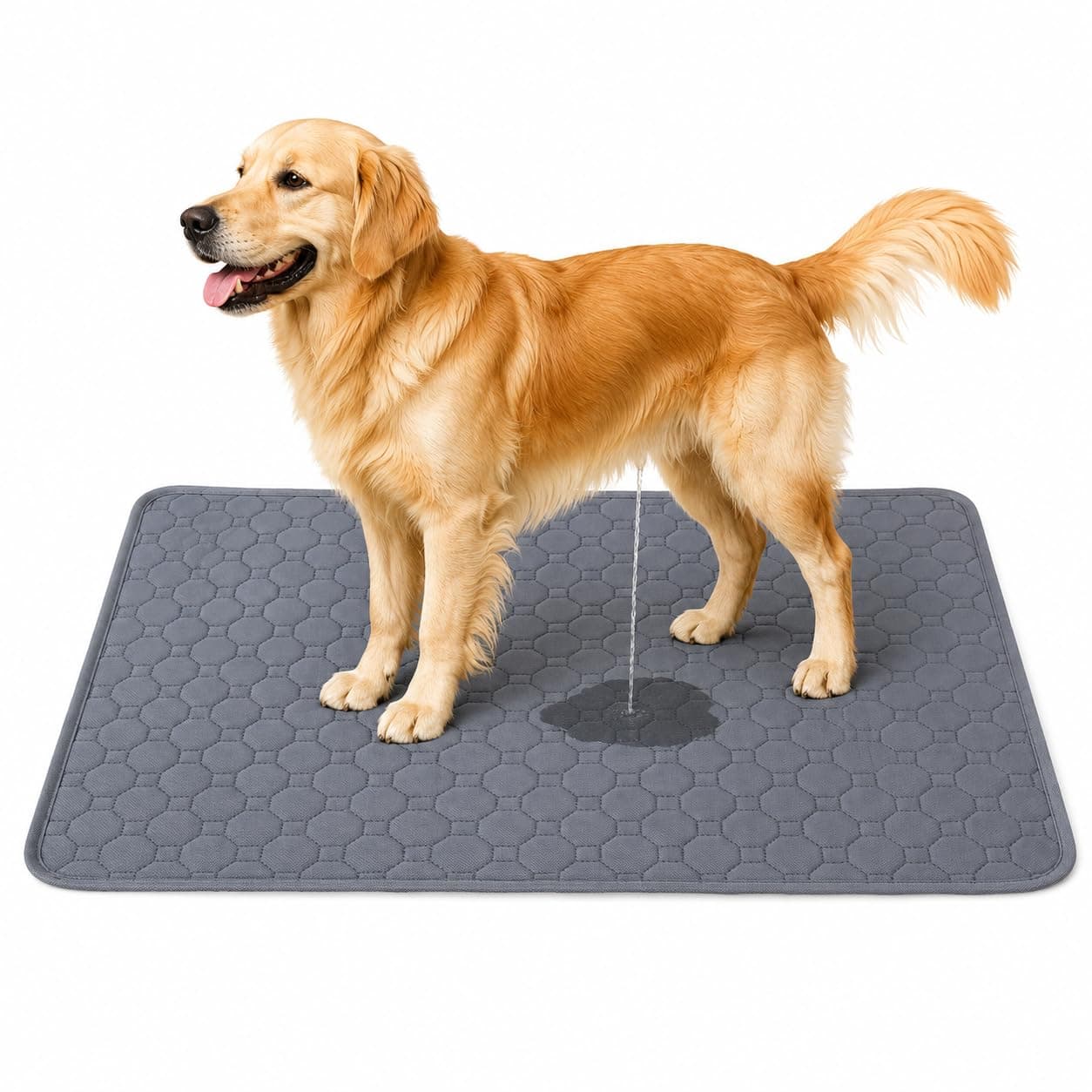 Doggifys Reusable Pee Pads for Dogs (60x90), Machine Washable Dog Pee Pads | Waterproof, Non-Slip Urine Mats for Puppies & Dogs | Reusable Training Pee Pads, Dog mats (Medium)