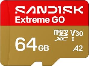 SanDisk 64GB Extreme GO microSDXC UHS-I Card, 5K & 4K UHD Video, 170MB/s Read, 80MB/s Write, A2, U3, V30, High-Speed for Android, Action Camera & Gaming