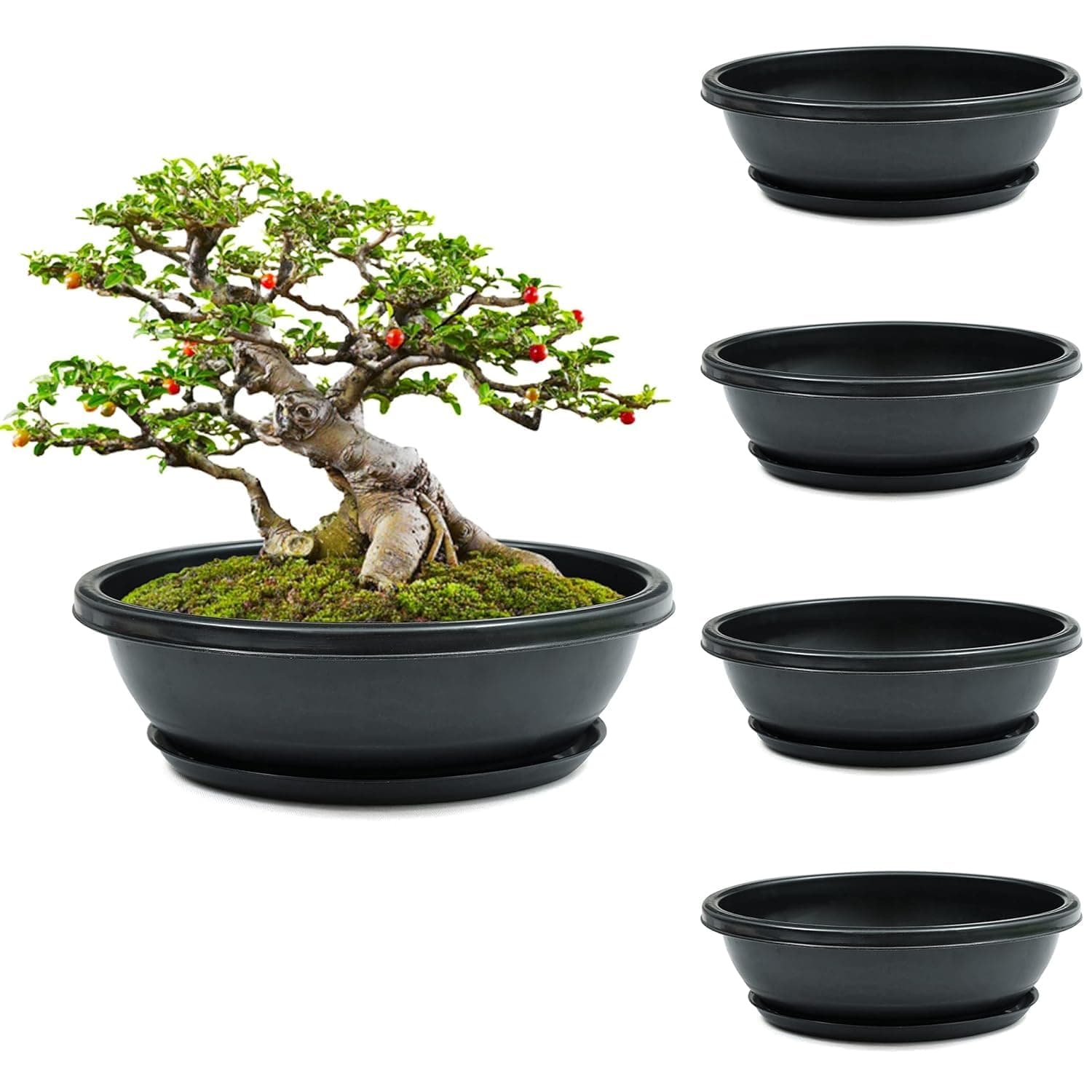 Livzing 15inch Pack of 5 Bonsai Flower Pot with Tray - Virgin Planter Pots with Drain Holes – Indoor Outdoor Balcony Gardening Pots - Oval Shaped Grow Pots for Plants - Black