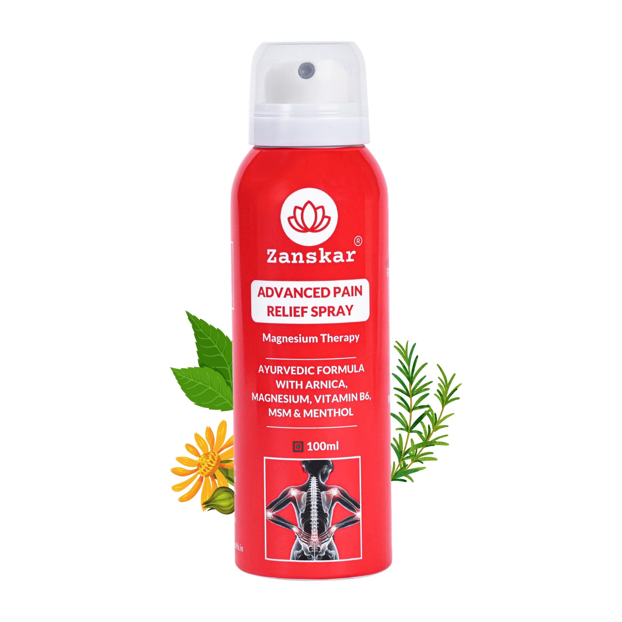 Zanskar Advanced Pain Relief Spray | Fast Action for Sore Muscles, Sports Injuries, Knee Pain, Sprains, Swelling | Cryotherapy Formula - Magnesium, Menthol, Vitamin B6, MSM & Chamomile | 100 ml