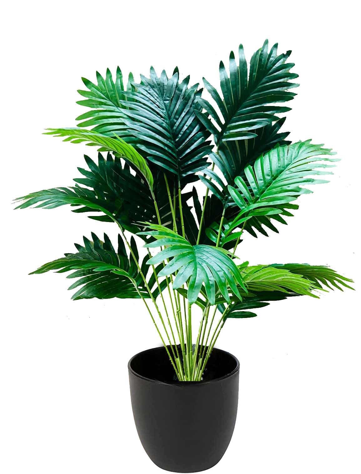 Kaykon Artificial Areca Palm Plant | 18 Branches | Fake Tree Without Pot for Home Decor, Office Decor, or Gifting | Natural Looking Indoor Plant - 84 cm/33 inch/2.75 feet