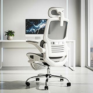 DROGO Ergonex Ergonomic Office Chair for Work from Home with Mesh, Armrest, 2D Headrest & Lumbar Support | Computer Chair for Study | Gaming Chair with Footrest & Heavy Metal Base (Grey)