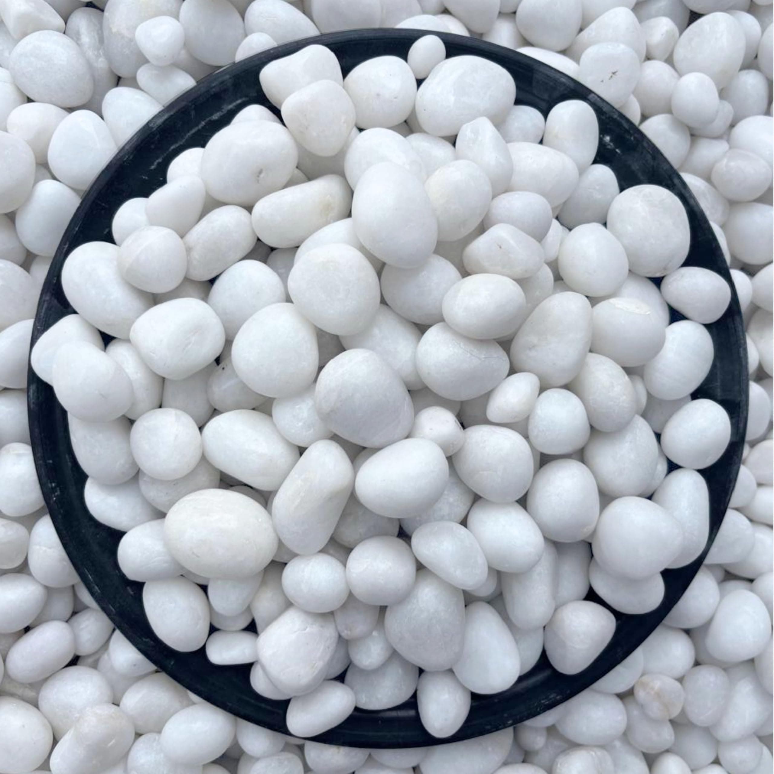 Foodie Puppies Natural Polished Decorative White Stones - (Medium, 20Kg) (2cm - 3.5cm) for Aquariums, Fish and Turtle Tank, Terrariums and Plant Pot | Unplanted Substrate for Aquarium Decoration