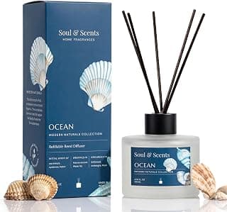 Soul & Scents Glass 120ml Ocean Reed Diffuser Set | Free 6 Fiber Reed Sticks | Stress Relief & Aromatherapy | Long-Lasting, Smoke-Free Air Freshener for Home, Bedroom & Office | Ideal for Gifting