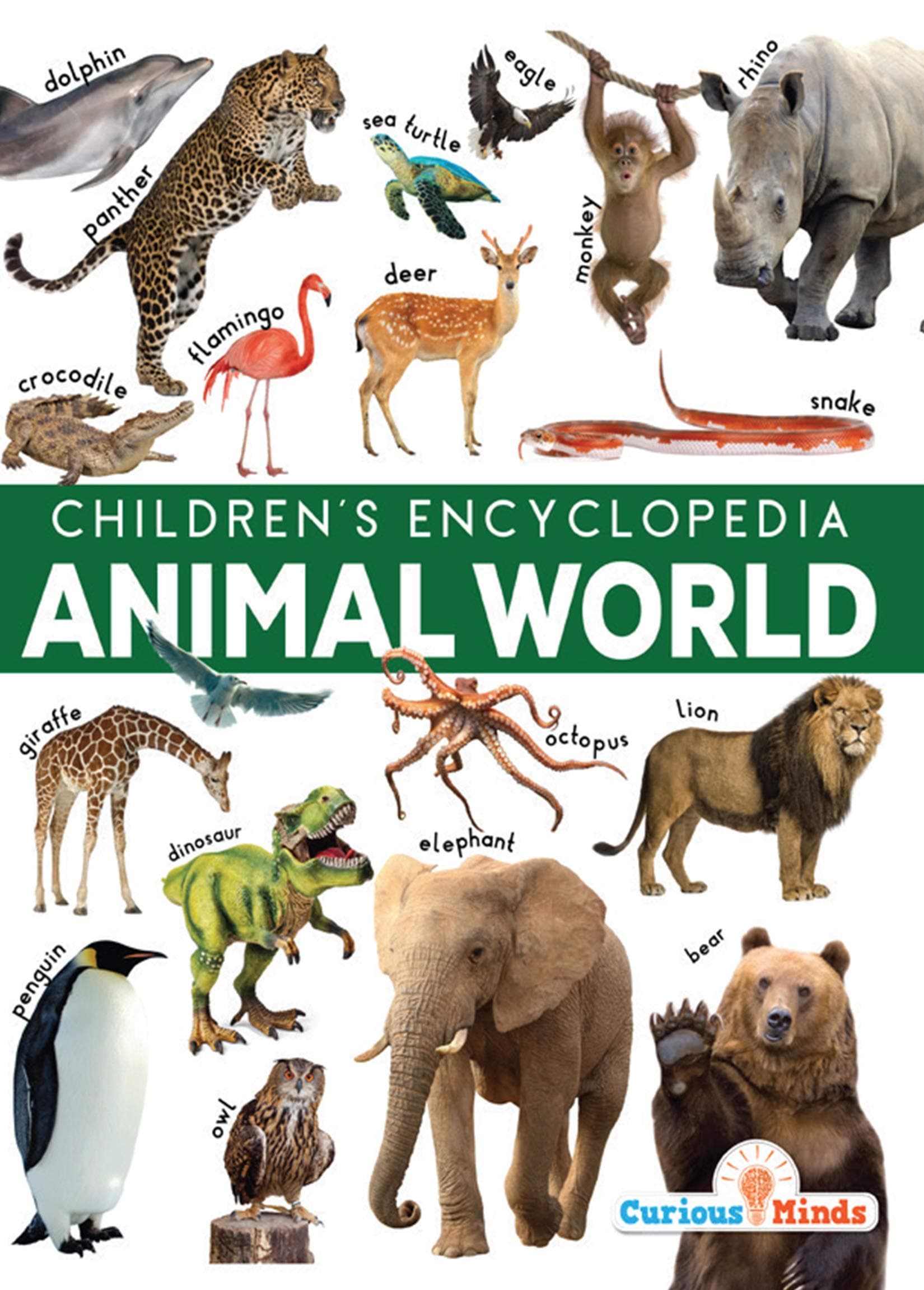 Animal World – Children's Encyclopedia for Kids Ages 8+ | Realistic Images, Fun Animal Facts & Wildlife Science | Educational Book for Curious Young Readers