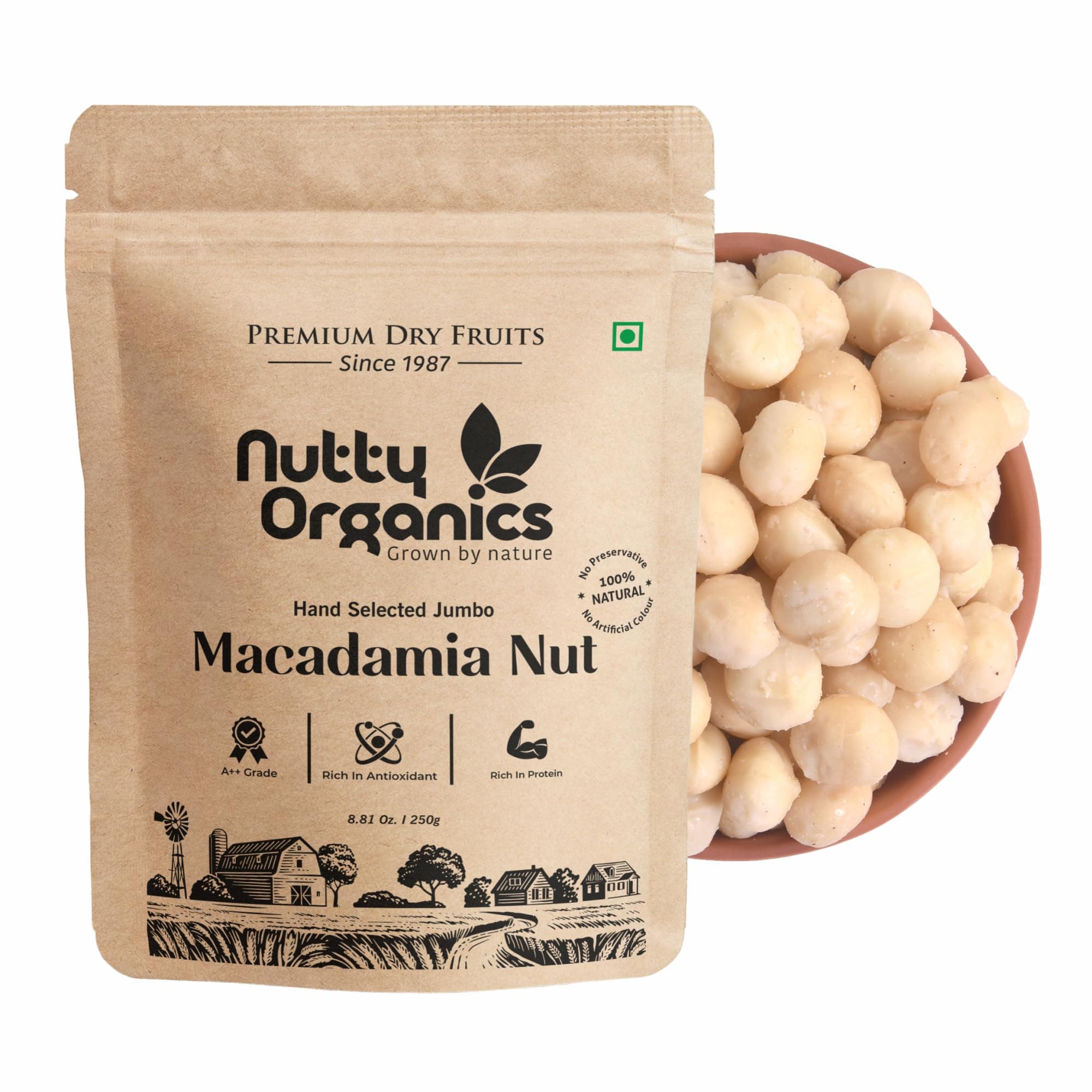 NUTTY ORGANICS Macadamia Nuts - 250 GM | (Grade A ++ Nuts, Premium Jumbo Size)