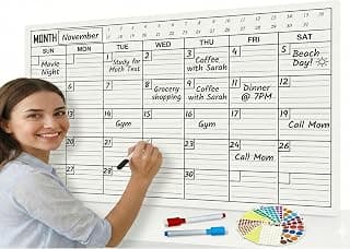 ThinkCrafts 2026 Wall Calendar Daily Planner, Large Format 28.5x19 Inches, Writable Surface with Color Dot Stickers, 12 Month (D, 20x30)