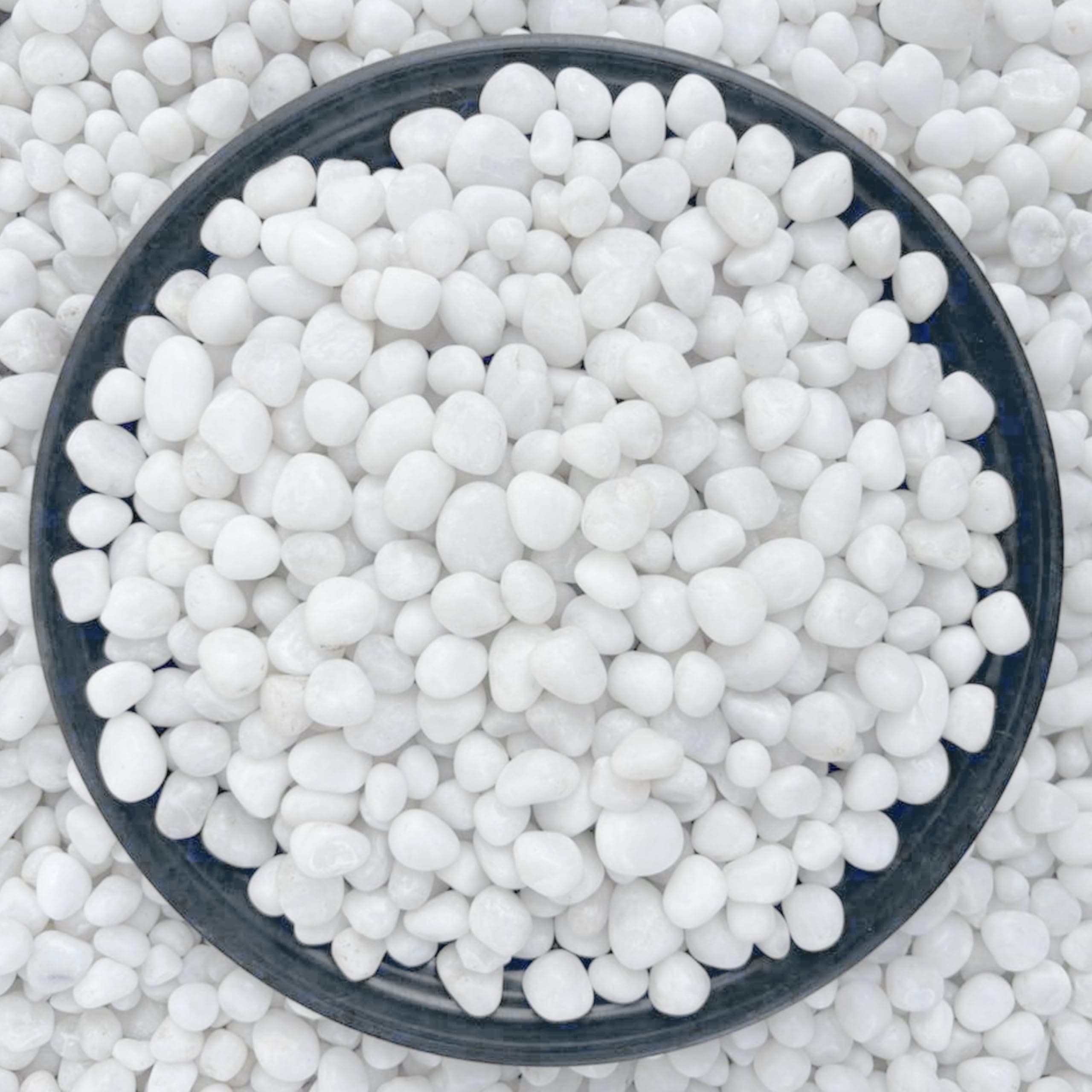 Foodie Puppies Natural Polished Decorative White Stones - (Small, 10Kg) (0.5cm - 2cm) for Home Decoration, Vase Filler, Aquarium/Fish Tank, Garden and Swimming Pool | River Pebbles Unplanted Substrate