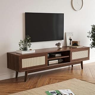 Space Galaxy Sheesham Wood TV Unit Stand for Living Room | Wooden Entertainment Console Cabinet with 2 Rattan Cane Doors & Shelf Storage | Free Standing TV Table for Home, Walnut (63x15.6x18 Inch)