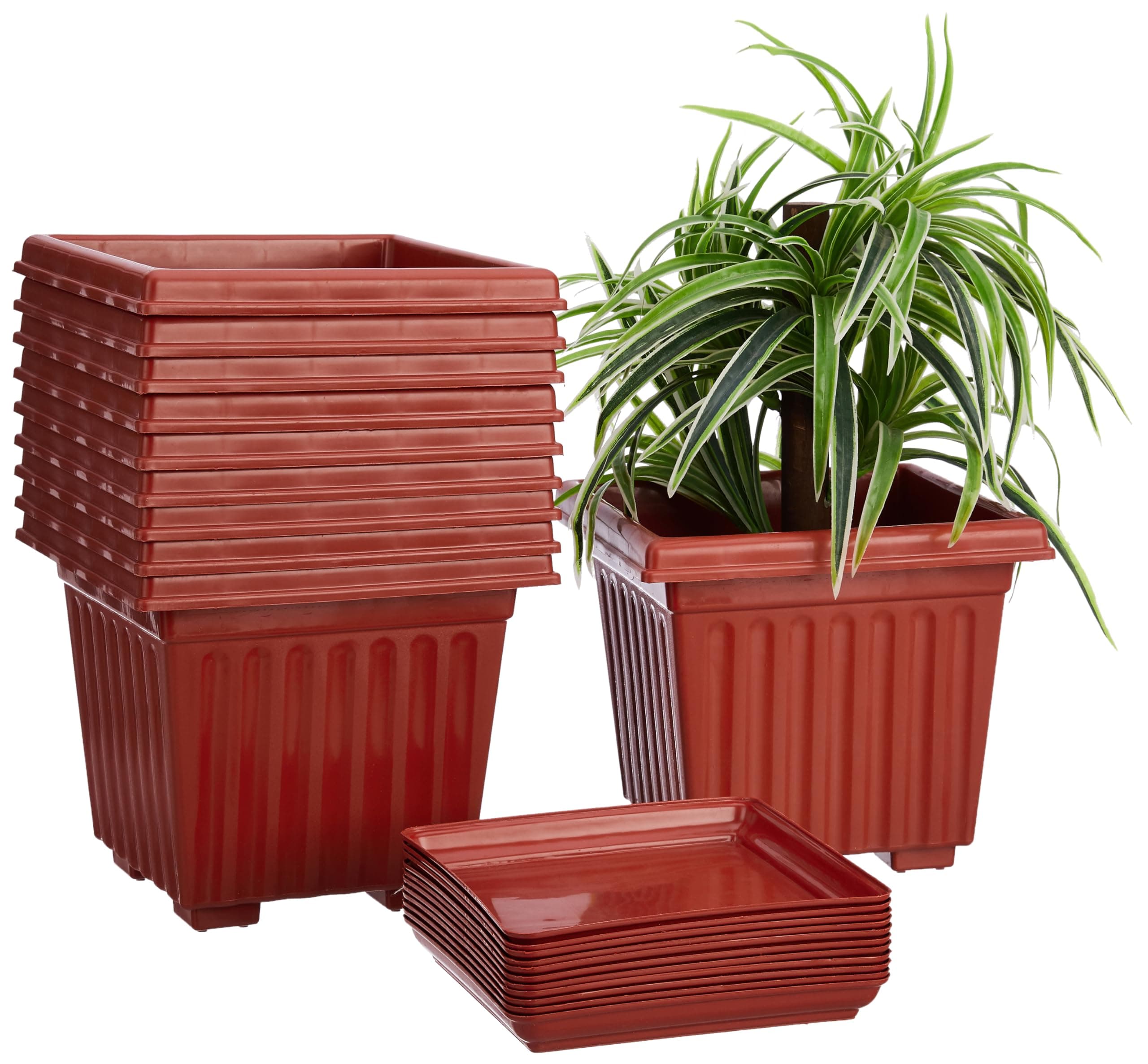 Amazon Brand - Solimo Square Pots for Plants with Bottom Tray | Indoor & Outdoor Flower Pot for Home/Office/Table/Garden/Balcony Decoration | 10 inch, Set of 10 | Brown
