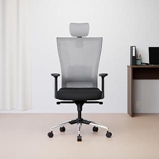 Green Soul Primus, High Back Mesh Ergonomic Home Office Desk Chair with 2D Adjustable Armrests & Lumbar Support, Smart Synchro Multi-Tilt Lock Mechanism & Heavy Duty Metal Base {Primus(Grey Back)}