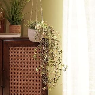 PURE HOME + LIVING Green & Purple Artificial Hanging Plant with Cement Pot for Wall Hangings Room Decor & Aesthetic Home Interior Decoration