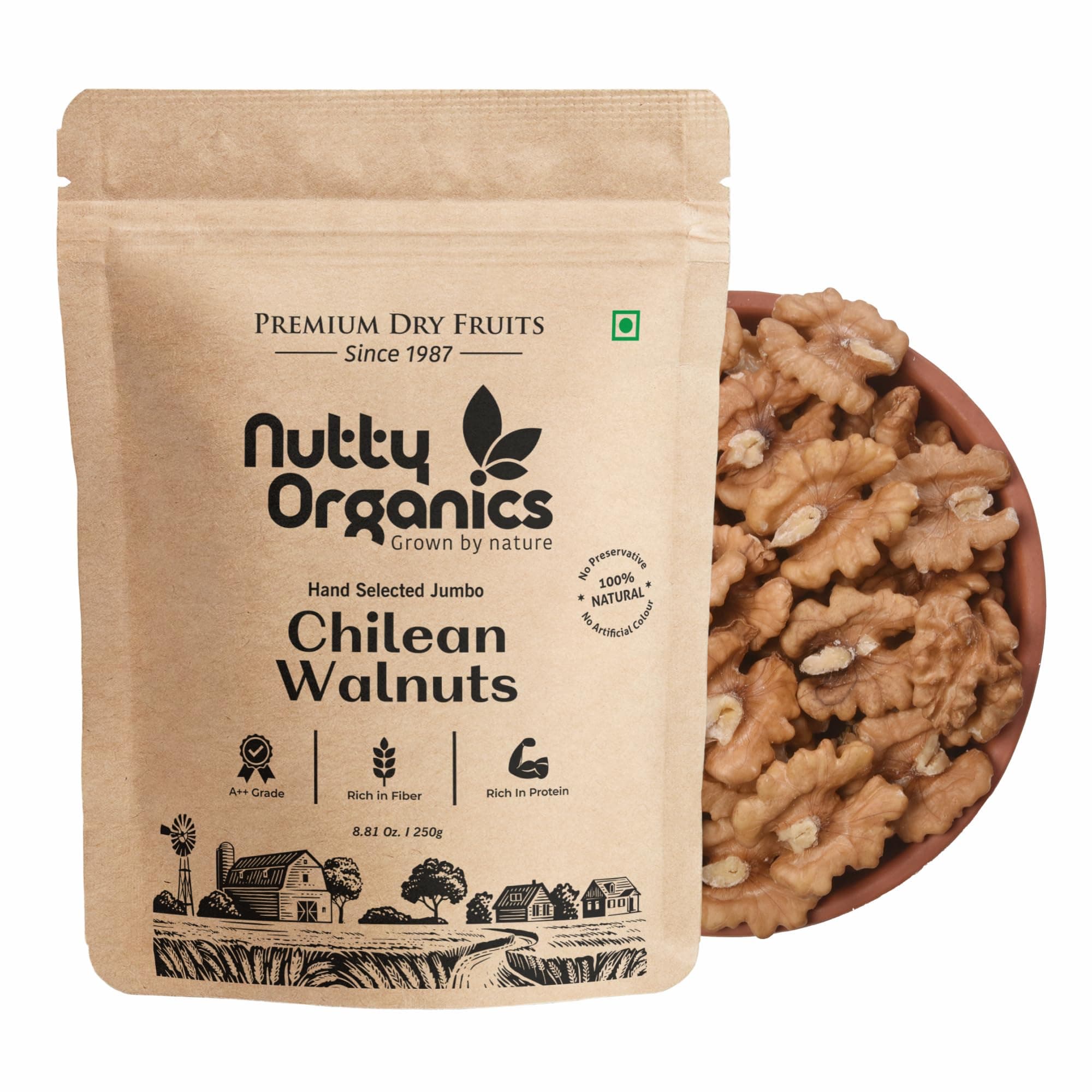 Nutty Organics Dried Walnut 500 Gm | Crunchy | Nutritious Tasty & Healthy Nuts Dry Fruits | Akhrot Giri | Rich in Protein