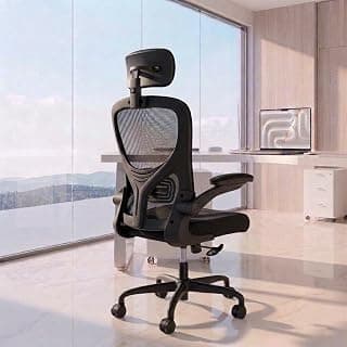 Casa Copenhagen Black | High Back Imported Mesh Fabric Boss Office Chair | Y Design Ergonomic Back Support | 2D Aero Design Adjustable Armrests | Synchro Tilt Lock Mechanism | Adjustable Lumbar