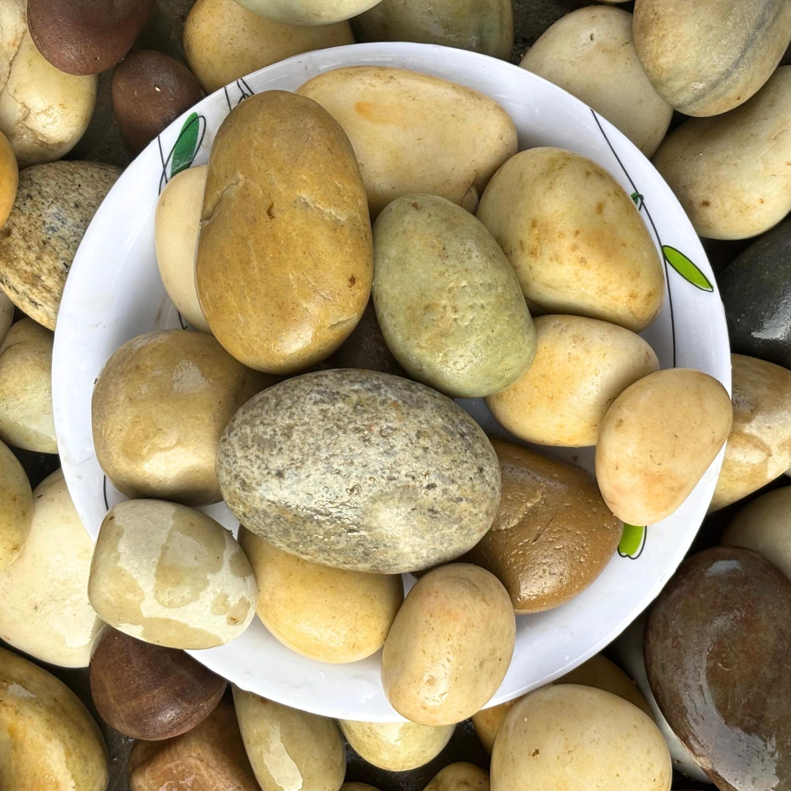 Foodie Puppies River Rocks Natural Multicolour Stones - (Small Monster - 2Kg) (3cm - 5cm) for Aquarium/Fish Tank, Painting, DIY, Arts, Crafts, Home Decoration, Garden, and Swimming Pool