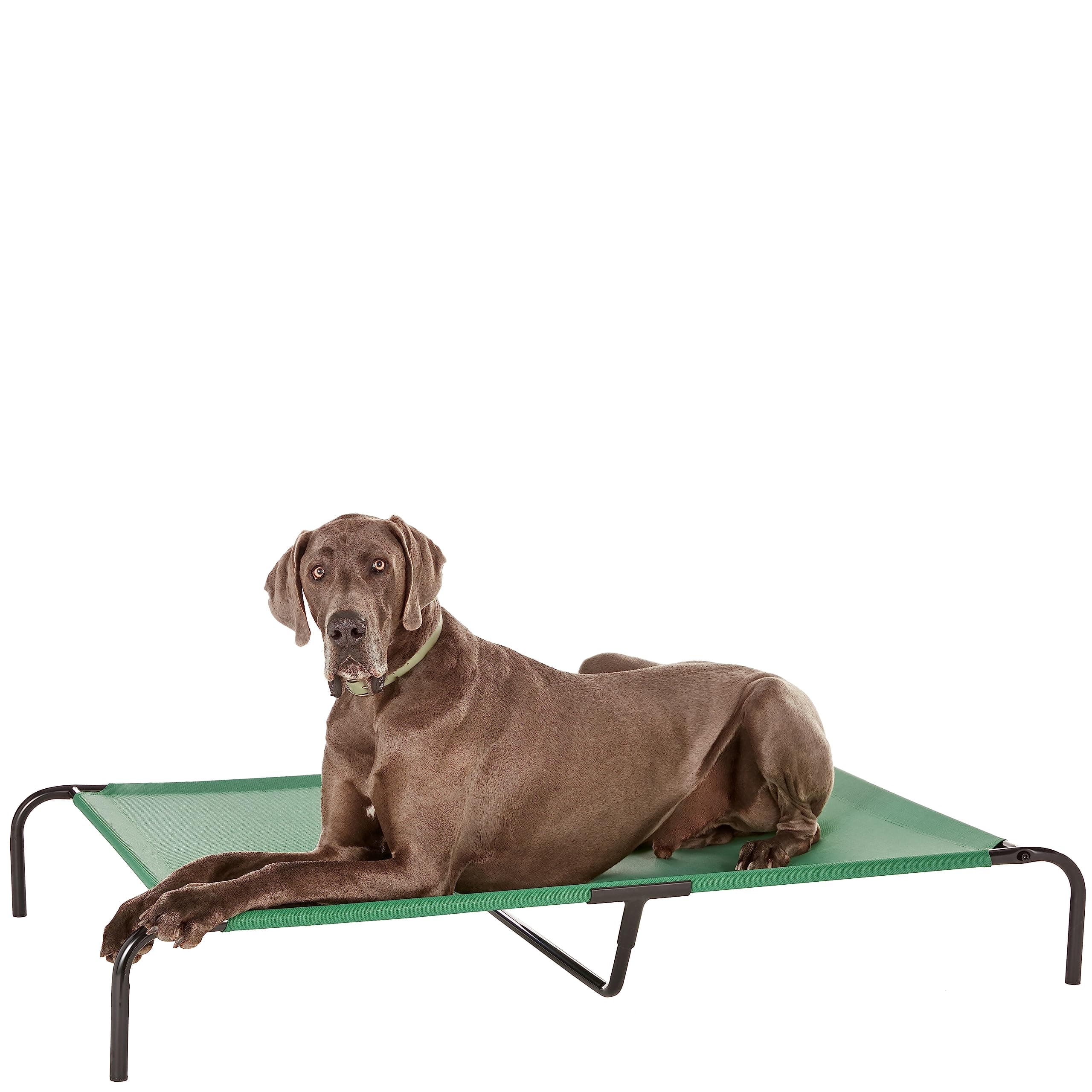 amazon basics Extra Large Elevated Mesh Fabric Cooling Pet Dog Cot Bed - 60 x 37 x 9 Inches, Green