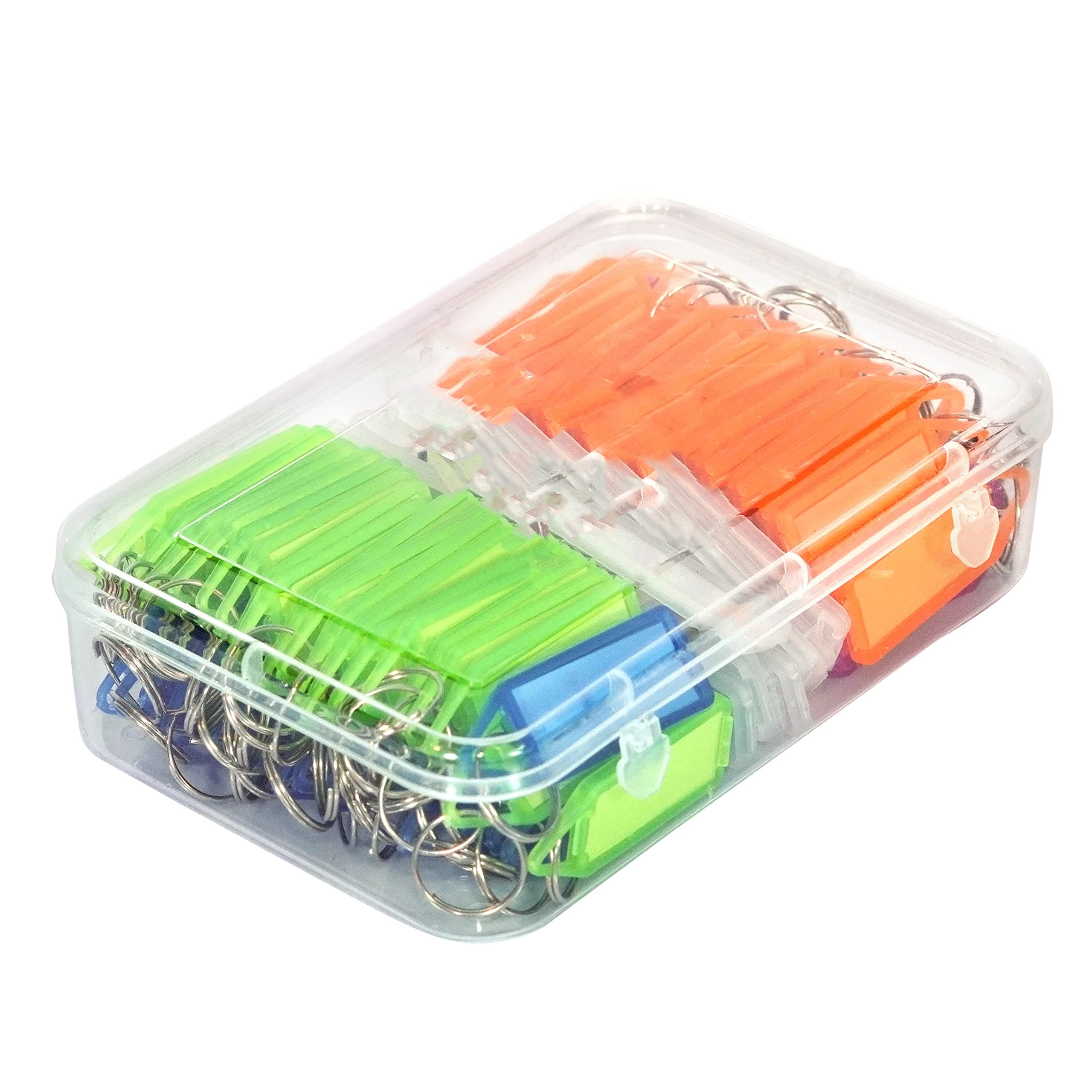 SNDIA 100 Pcs Keyring & Keychain with Name Tag Labels, Multicolor | Plastic, Two Side Id Label, Split Ring, For Office, Home Key