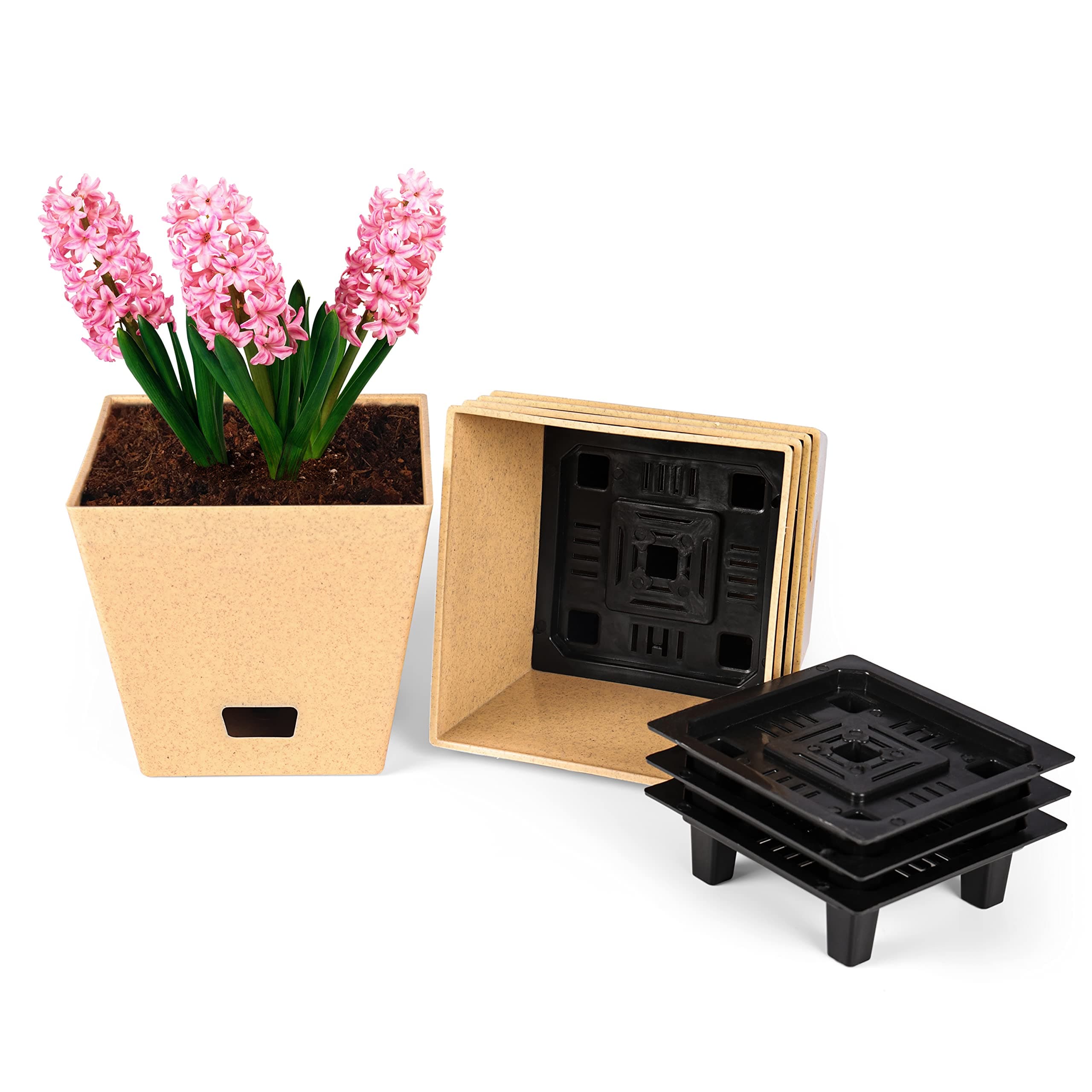 Livzing Set of 5 Square Self Watering Indoor Pots for Plants | 5 inch Flower Pots for Home Planters, Terrace, Garden | 5 Outer Pots & 5 Inner Tray | UnFadable | Low Maintenance Gamla - Sandal Dotted